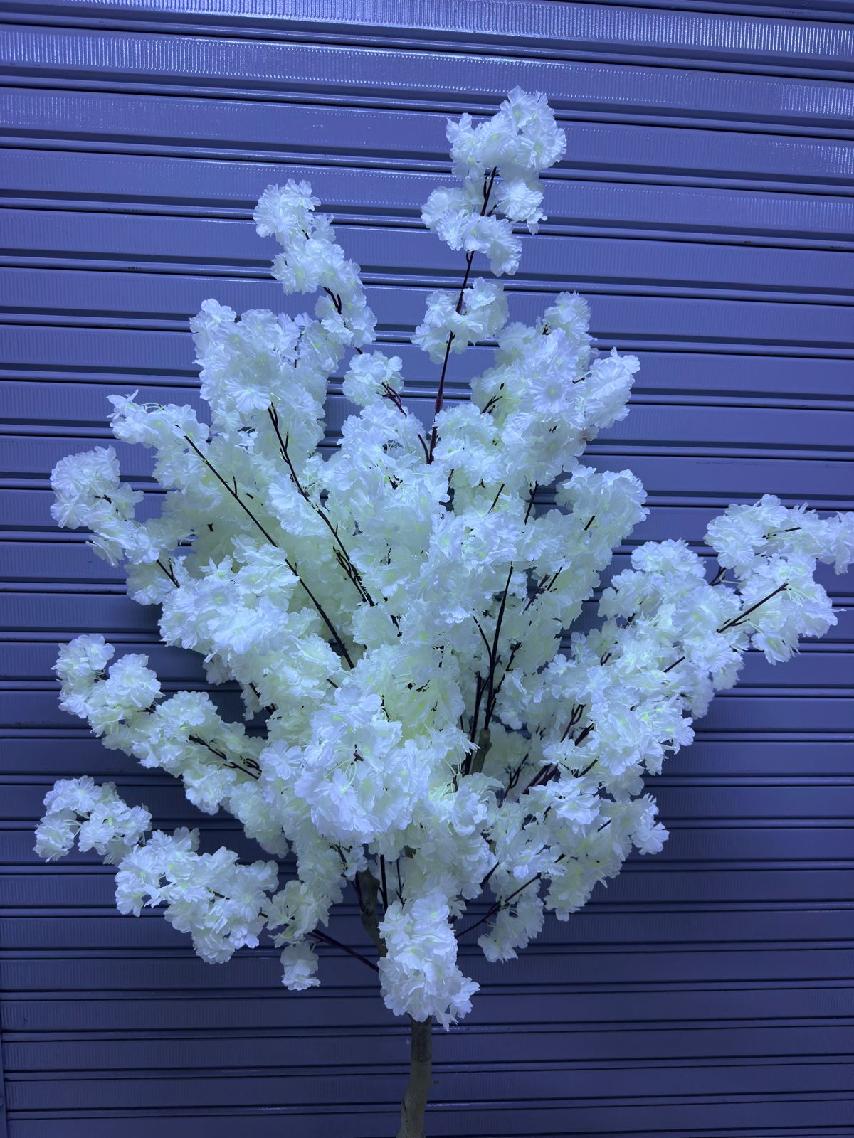 Arbol Sakura | Blanco | 200cm